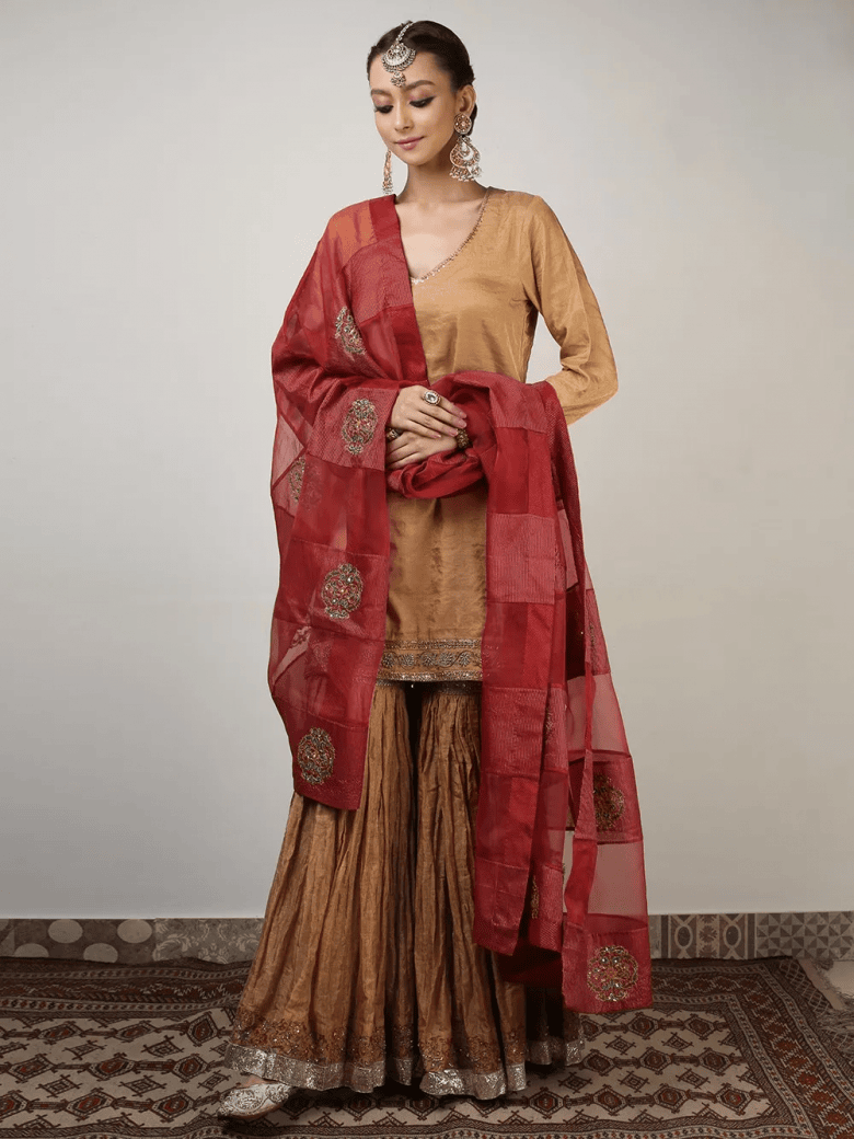 Festive Dress-Up : Ethnic Dresses For Women – The Loom Blog